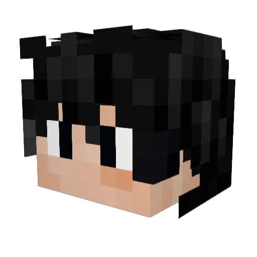 Solembus13 Minecraft avatar head, 3D render