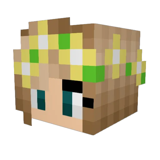 SolemnSB737 Minecraft avatar head, 3D render