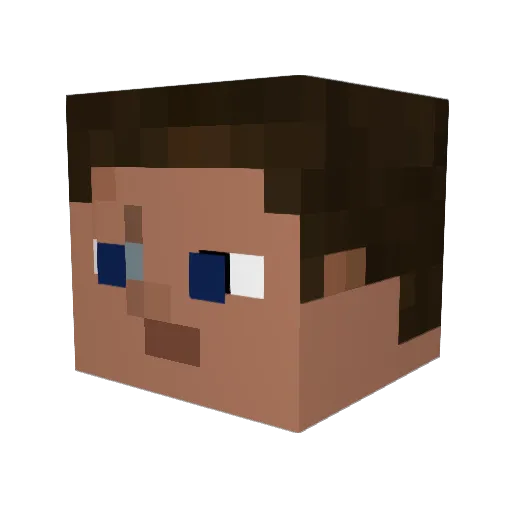 SolenoidOilValve Minecraft avatar head, 3D render