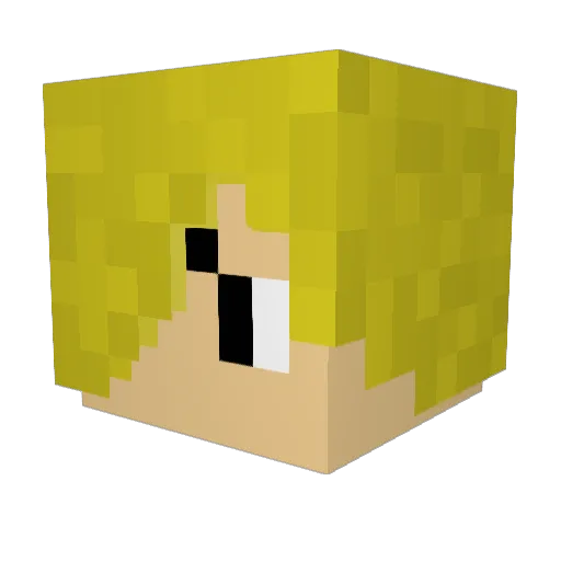Solerays Minecraft avatar head, 3D render