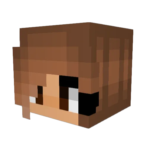 Solesito8 Minecraft avatar head, 3D render