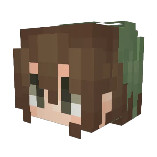 Solev17 Minecraft avatar head, 3D render