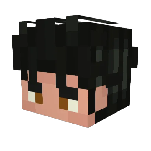 Solev Minecraft avatar head, 3D render