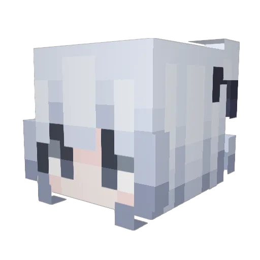 Soliaa Minecraft avatar head, 3D render