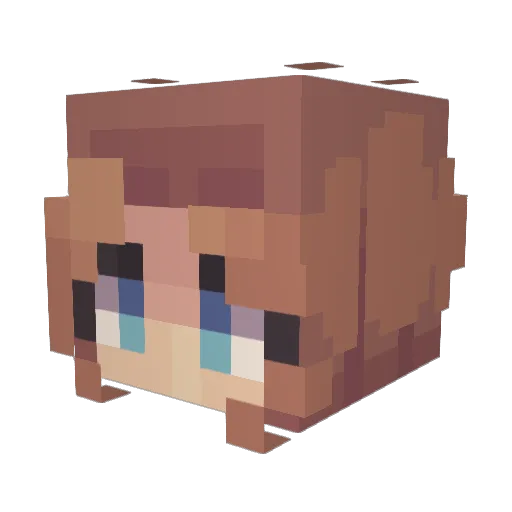 Solibaby Minecraft avatar head, 3D render