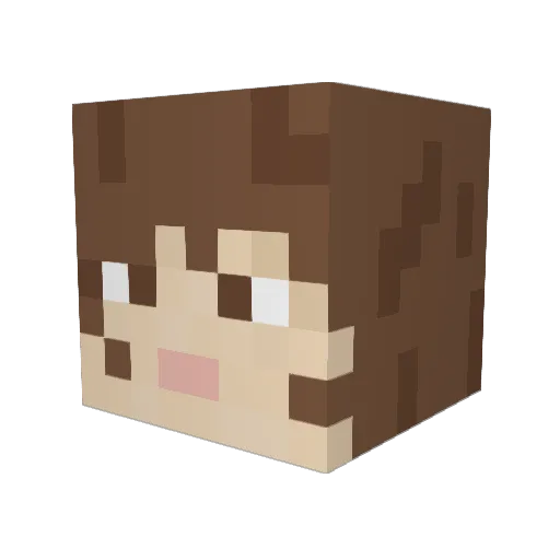 SoliciSlayr Minecraft avatar head, 3D render