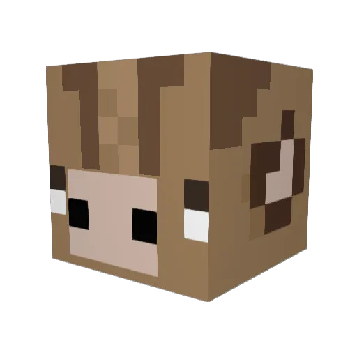 SolidArdvark Minecraft avatar head, 3D render