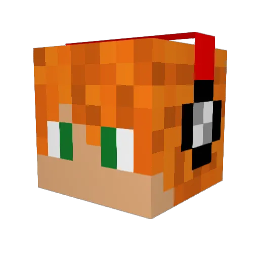 SolidOcelot Minecraft avatar head, 3D render
