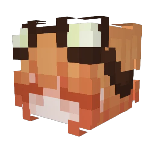 SolidPlains2856 Minecraft avatar head, 3D render