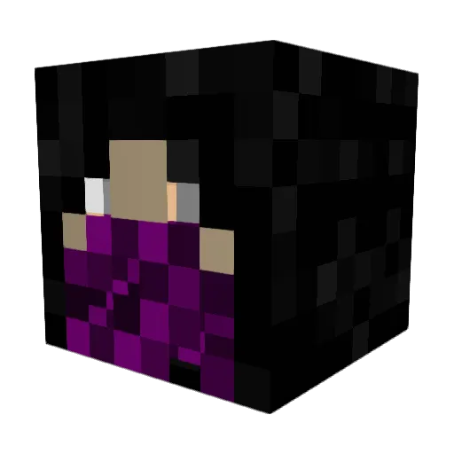 SolidState000 Minecraft avatar head, 3D render
