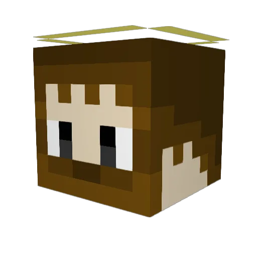 SolidSuno Minecraft avatar head, 3D render