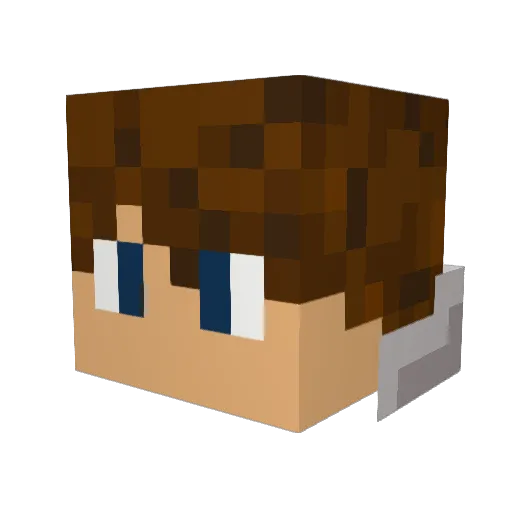 SolidWaterQB Minecraft avatar head, 3D render