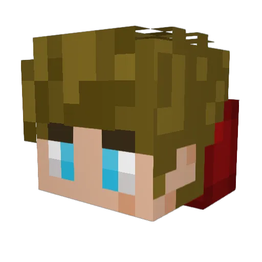 Solid_101 Minecraft avatar head, 3D render