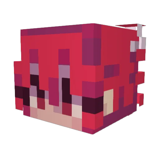 Solid__Ash Minecraft avatar head, 3D render