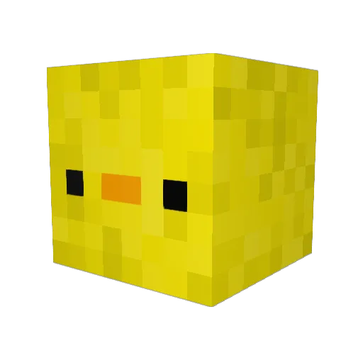 Solidari10 Minecraft avatar head, 3D render
