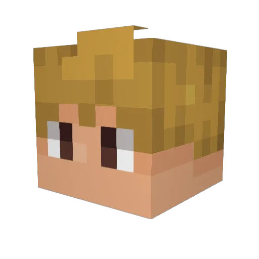 SolidarityGaming Minecraft avatar head, 3D render