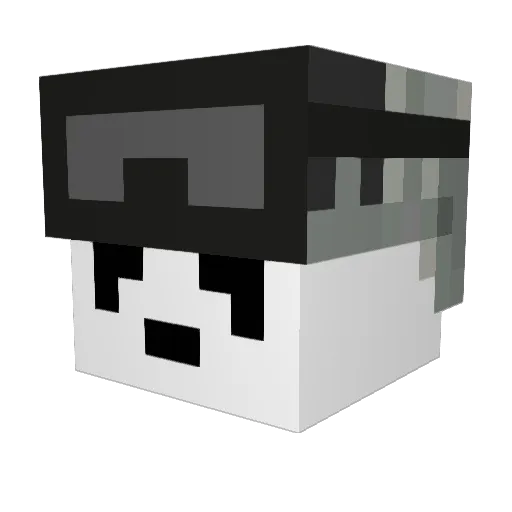 SolideSlang Minecraft avatar head, 3D render