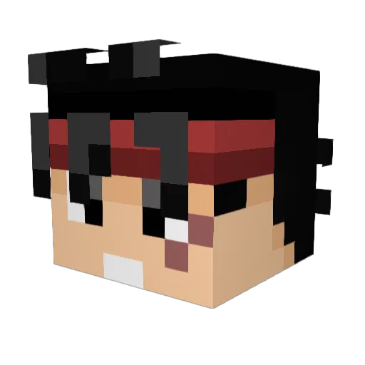 Solidier Minecraft avatar head, 3D render