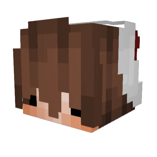Solidification_n Minecraft avatar head, 3D render