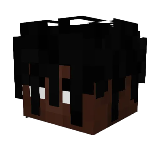 Solidifications Minecraft avatar head, 3D render