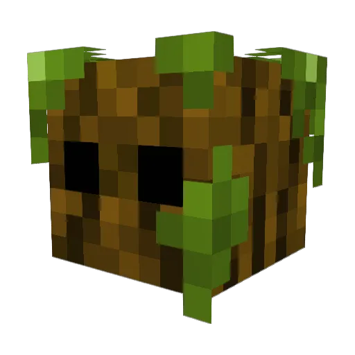 Solidiquis Minecraft avatar head, 3D render