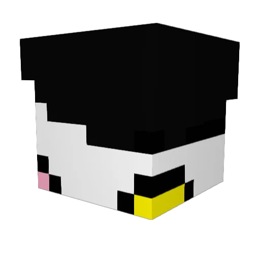SolidusFart Minecraft avatar head, 3D render