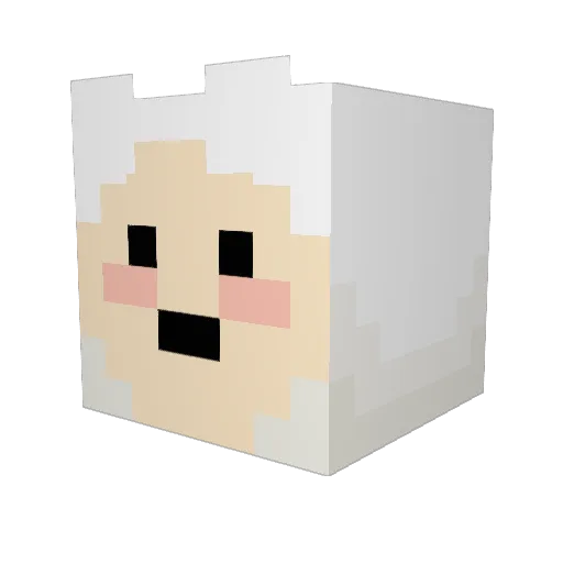 Solihark Minecraft avatar head, 3D render