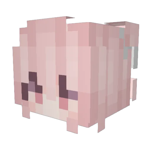 Solikewithu Minecraft avatar head, 3D render