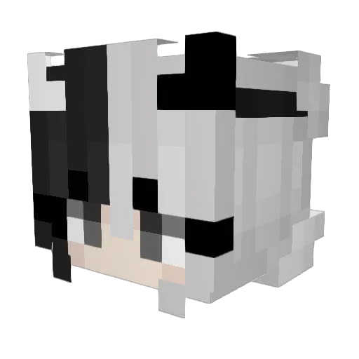 Soliny Minecraft avatar head, 3D render