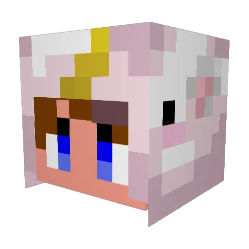Solipsism4 Minecraft avatar head, 3D render