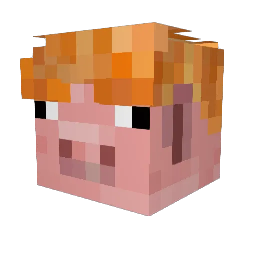 SolisCR Minecraft avatar head, 3D render