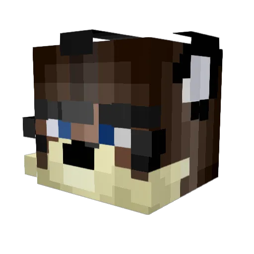 Solisticnose16 Minecraft avatar head, 3D render