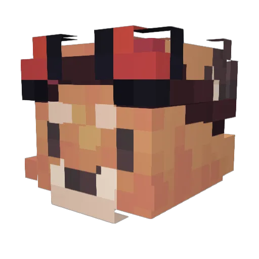 Solitarilee Minecraft avatar head, 3D render