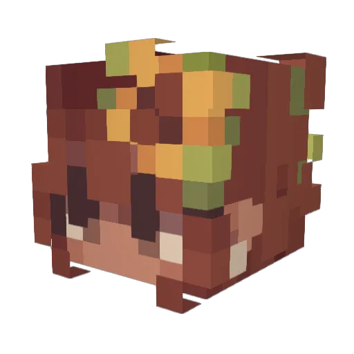 Solitaxo Minecraft avatar head, 3D render