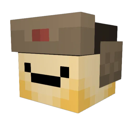 Solitofu Minecraft avatar head, 3D render