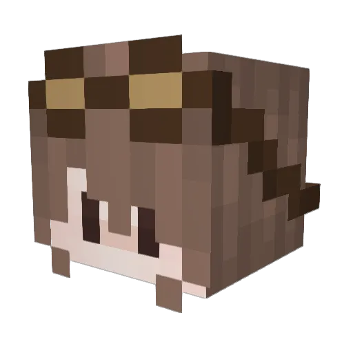 SolitudeSparrow Minecraft avatar head, 3D render