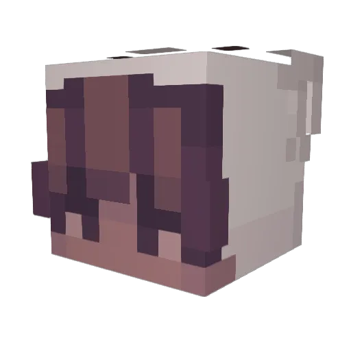 Solix__ Minecraft avatar head, 3D render