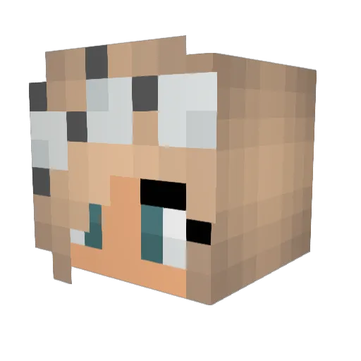 Solkara Minecraft avatar head, 3D render