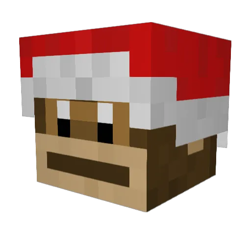Solkoy Minecraft avatar head, 3D render