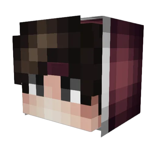Sollusion Minecraft avatar head, 3D render