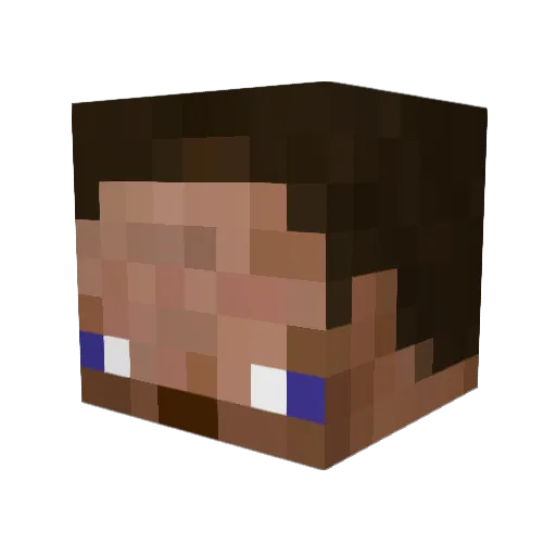 Sollychops Minecraft avatar head, 3D render