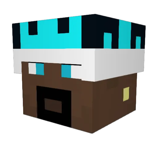 Solmization_ Minecraft avatar head, 3D render