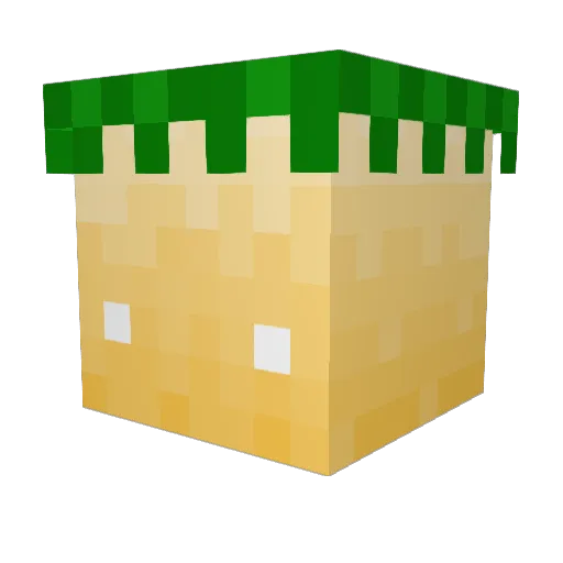 Solo0007 Minecraft avatar head, 3D render