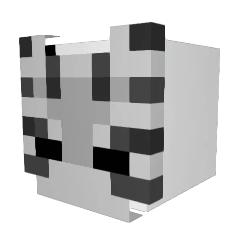 Solo250 Minecraft avatar head, 3D render