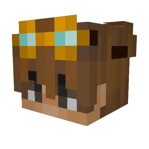 Solo607 Minecraft avatar head, 3D render
