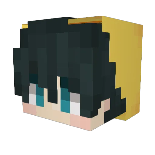 SoloBiological Minecraft avatar head, 3D render