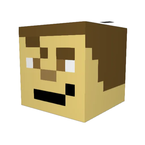 SoloBrow Minecraft avatar head, 3D render
