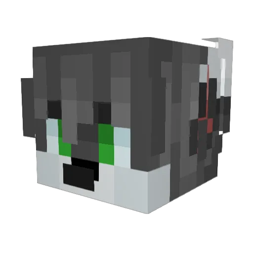 SoloFighter1000 Minecraft avatar head, 3D render