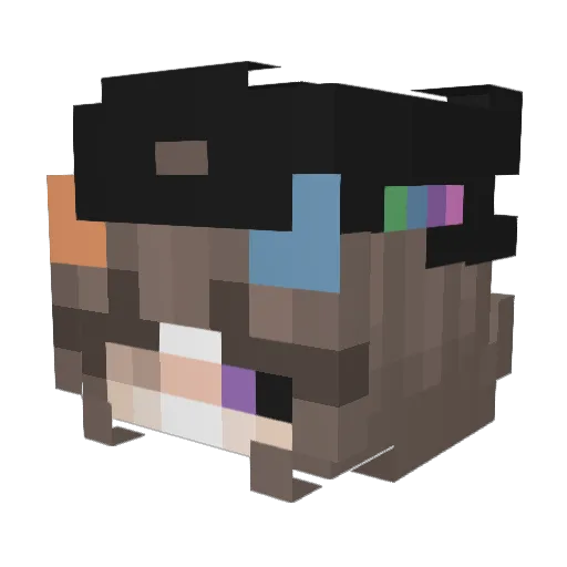 SoloGamer60 Minecraft avatar head, 3D render