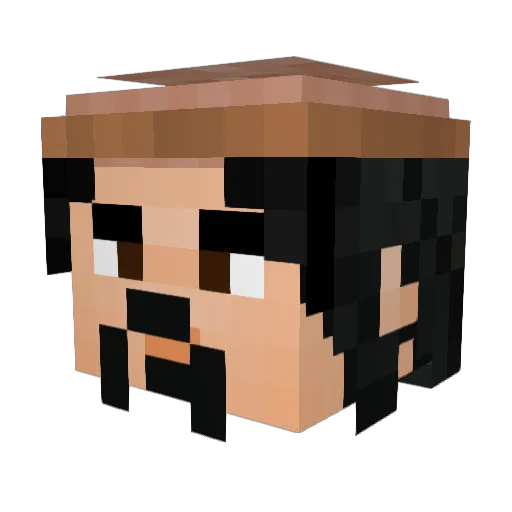 SoloOrTroll Minecraft avatar head, 3D render